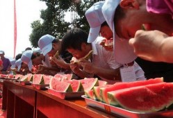 今日吃瓜--今日大赛,吃瓜群众狂欢盛宴